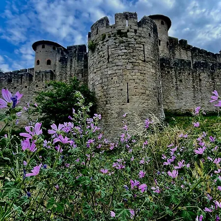 Holiday home Maison Petit Arago Avec Roof Terrace Et Parking Prive Carcassonne