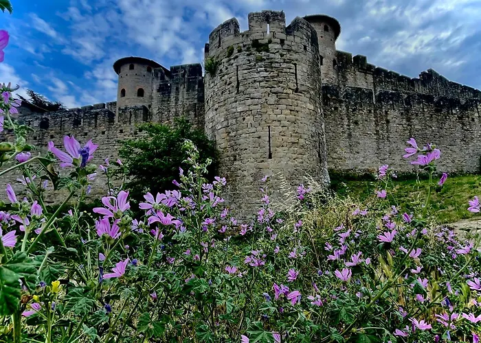 Hébergement de vacances Maison Petit Arago Avec Roof Terrace Et Parking Privé Carcassonne